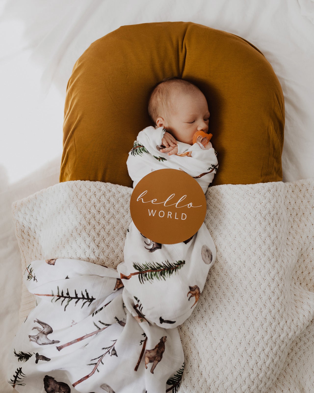 Snuggle Hunny Kids Milestone Cards- Alpha & Bronze