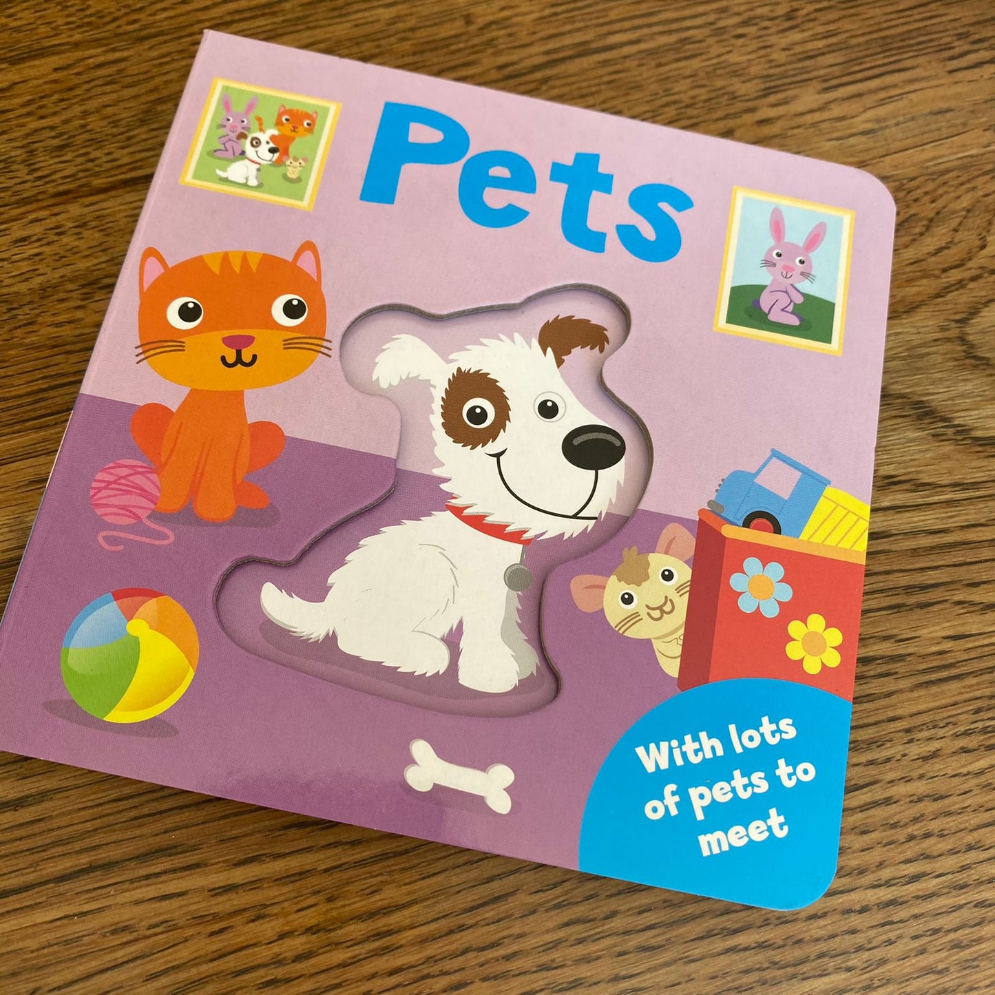 Peek a Boo Boardbook: Pets