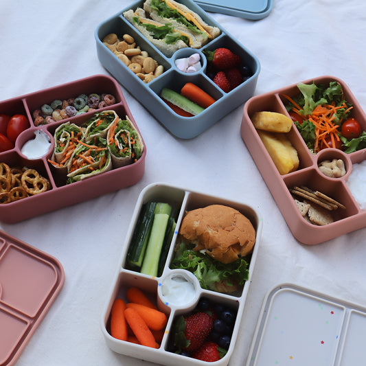 SummitCo Silicone Bento 5 Lunchbox – Fern Green - Leakproof, 5 Compartments, Microwave & Oven Safe